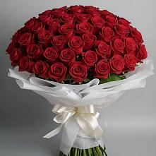 Букет 101 Красная роза Блэк Мэджик в Грицовский