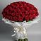Букет 101 Красная роза Блэк Мэджик в Грицовский