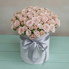 Цветочная композиция из Розы в шляпной коробке #REPLACE_PRED# Грицовский