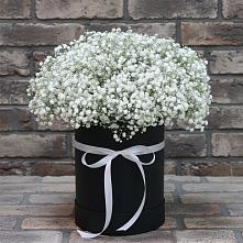 Цветочная композиция из Гипсофила в шляпной коробке #REPLACE_PRED# Грицовский